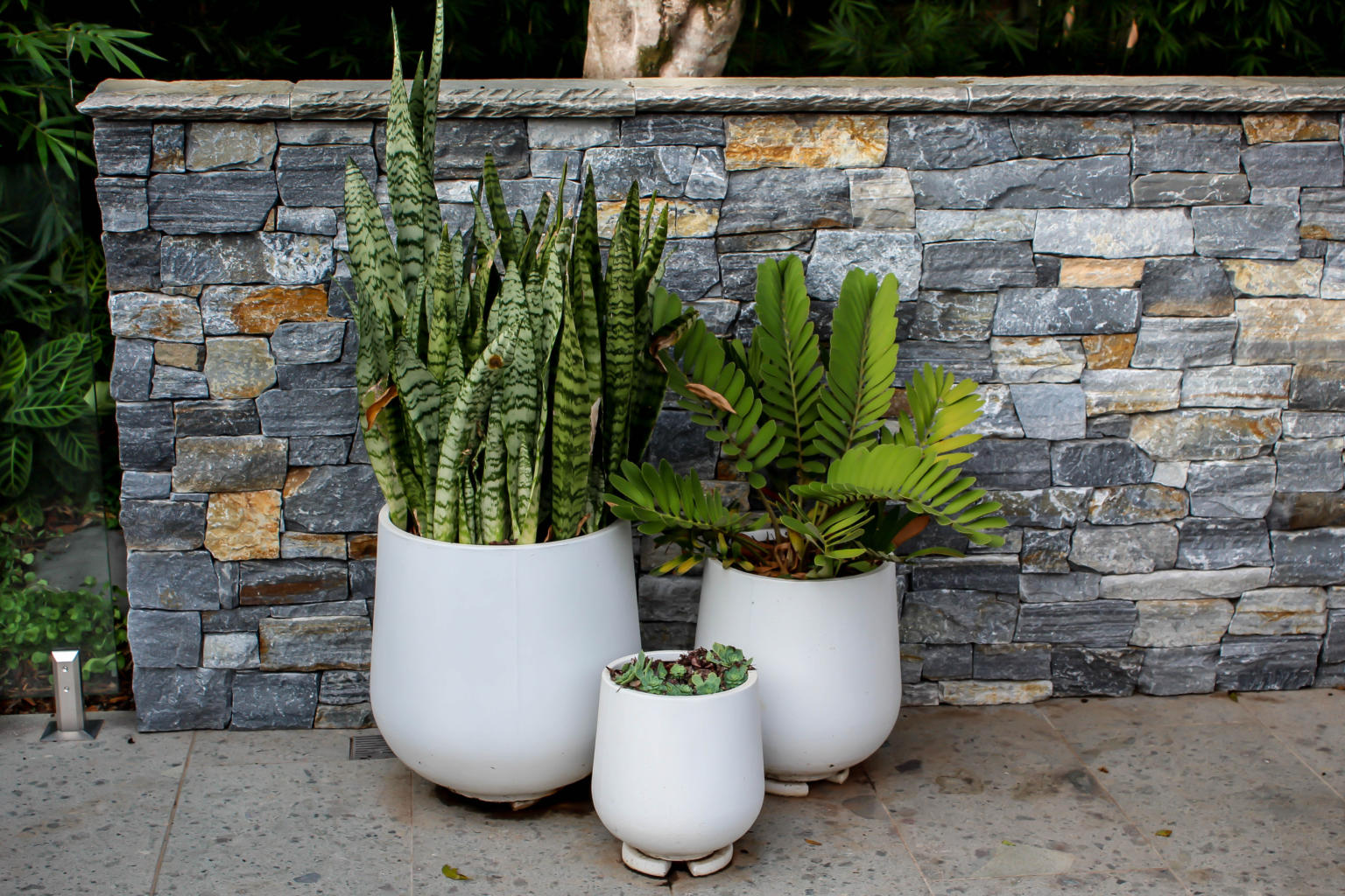 Bung Planter | Wentworth Falls Pots