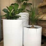 Line Stonelite Tall Cylinder white with plants
