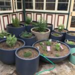 Stonelite Tall Tub Pot Planter