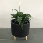 Cylinder Tripod Black Terrazzo planter pot