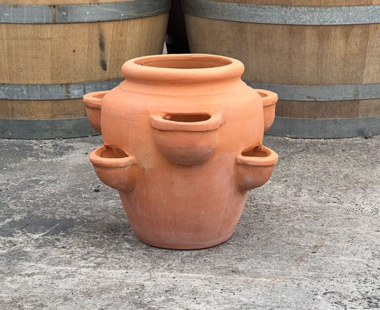 Terracotta Herb Pot Wentworth Falls Pots   Terracotta Herb Pot 768x628 