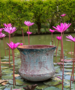 Ancient Lotus Garden Pot