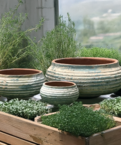 Ancient Seedpod Garden Pots