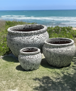 Ocean Tulip Planter