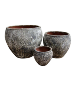 Pompeii Opium