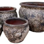 distinctive black-and-white volcanic texture, this pot looks as though it’s been uncovered from the ruins of Pompeii