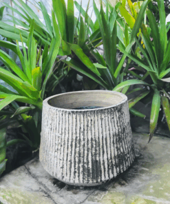 Large fluted striped garden pot with an elegant ribbed design and stylish neutral-toned stripes, perfect for adding sophistication to outdoor and indoor plant displays. Crafted from high-quality, weather-resistant materials, this planter is ideal for patios, balconies, gardens, and home interiors. Generously sized to accommodate larger plants or small trees. Now available with fast and reliable delivery to Sydney – enhance your garden or home décor with this statement pot, shipped directly to your door anywhere in Sydney.
