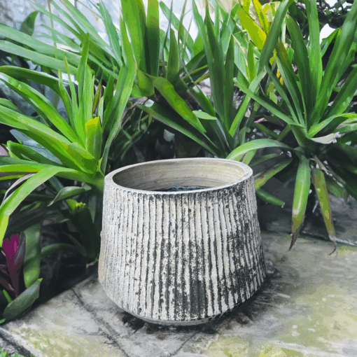 Large fluted striped garden pot with an elegant ribbed design and stylish neutral-toned stripes, perfect for adding sophistication to outdoor and indoor plant displays. Crafted from high-quality, weather-resistant materials, this planter is ideal for patios, balconies, gardens, and home interiors. Generously sized to accommodate larger plants or small trees. Now available with fast and reliable delivery to Sydney – enhance your garden or home décor with this statement pot, shipped directly to your door anywhere in Sydney.