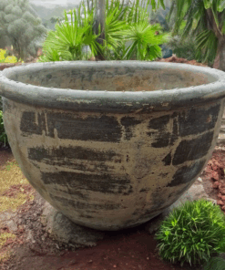 A handcrafted Grand Roll-Lip Planter featuring a bold, rounded lip and beautifully textured finish. This large, durable planter is ideal for statement trees, lush tropical plants, or floral arrangements. With a timeless, rustic aesthetic, it complements both indoor and outdoor settings. Available for Australia-wide delivery, including Sydney and the Blue Mountains.