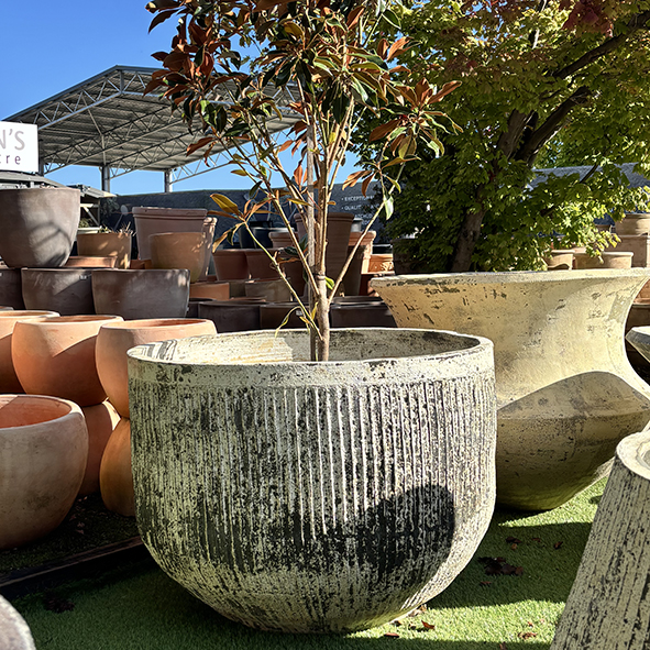 Thai Limestone Fluted Tub Similar to Balcony Gardens Chardonnay