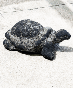 Pompeii Turtle Statue